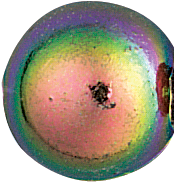 Pucci Pearl Beads Cabela's